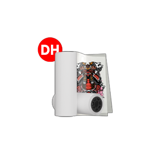Pet Film 33DH Double Side